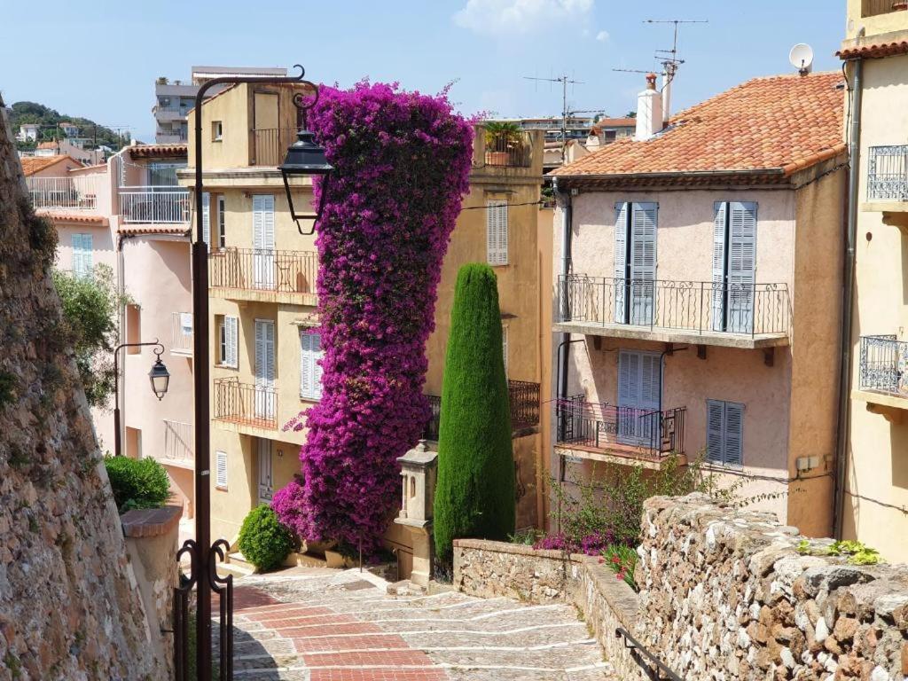 Hyper Centre Cannes - Plages Et Palais 5Min A Pied Luaran gambar